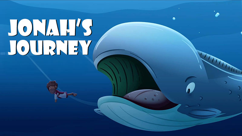 a whale chasing after a man swimming away from it
